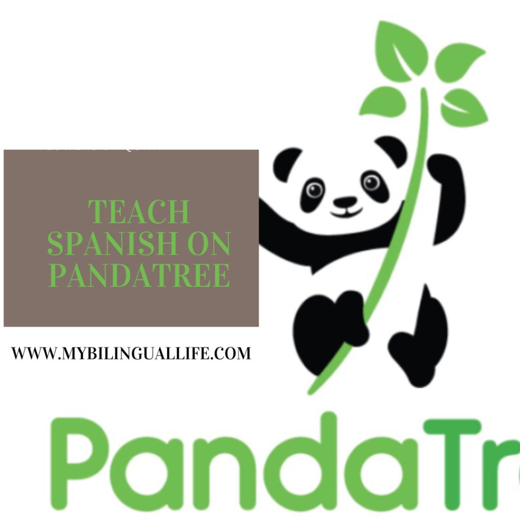 Teaching Spanish at PandaTree